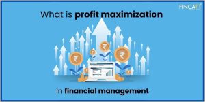 Read more about the article What is Wealth Maximization? Learn Differences with Profit Maximization